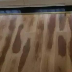變色 變色